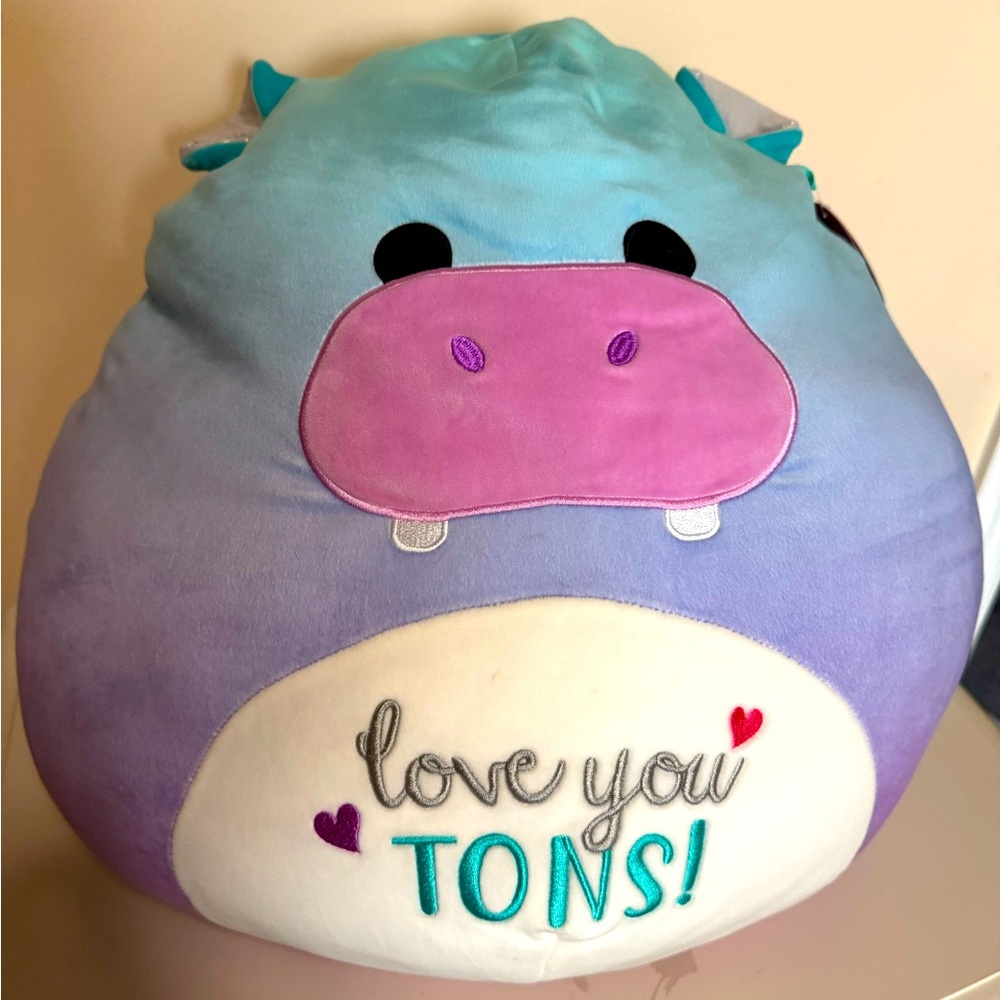 Hippo Squishmallow Hoknii